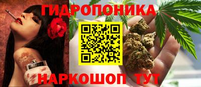 трава Будённовск